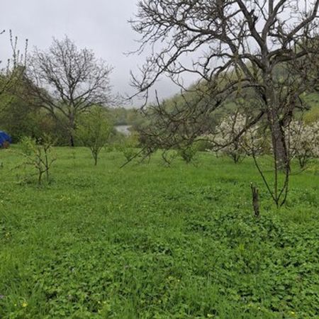 15 Sot Torpaq Sahəsi, Quba r. – Azərbaycan – ucuztap.az