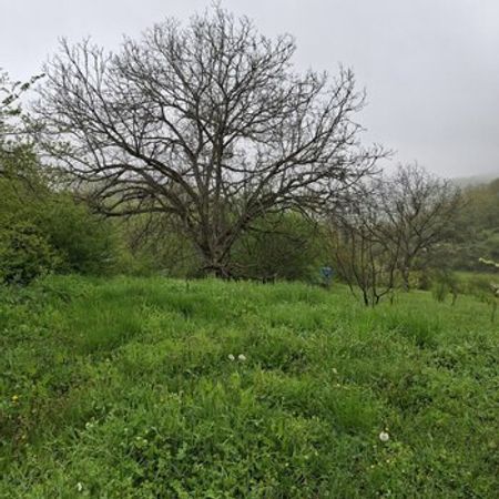 15 Sot Torpaq Sahəsi, Quba r. – Azərbaycan – ucuztap.az