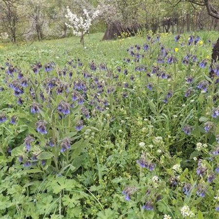 15 Sot Torpaq Sahəsi, Quba r. – Azərbaycan – ucuztap.az