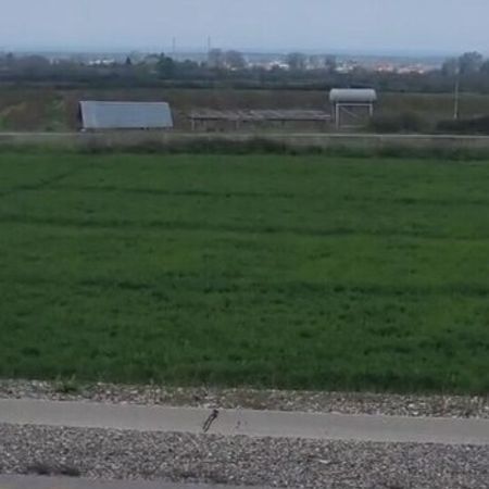 128 Sot Torpaq Sahəsi, Xaçmaz r. – Azərbaycan – ucuztap.az