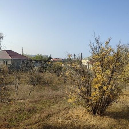 1600 Sot Torpaq Sahəsi, Saray qəs. – Azərbaycan – ucuztap.az