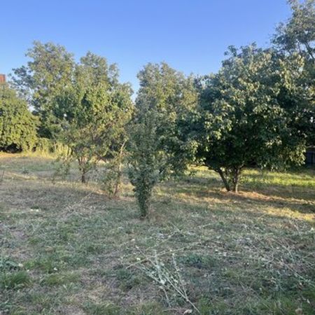 10 Sot Torpaq Sahəsi, İsmayıllı r. – Azərbaycan – ucuztap.az