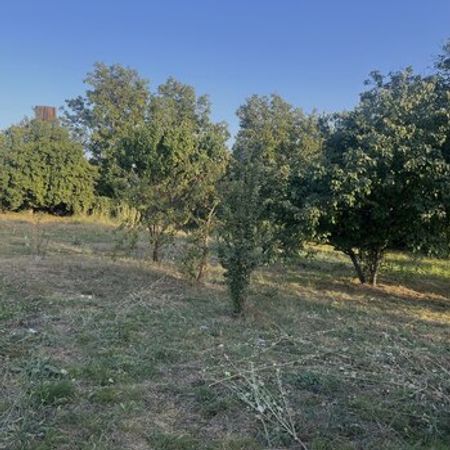 10 Sot Torpaq Sahəsi, İsmayıllı r. – Azərbaycan – ucuztap.az