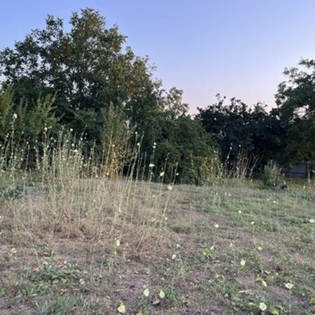 10 Sot Torpaq Sahəsi, İsmayıllı r. – Azərbaycan – ucuztap.az