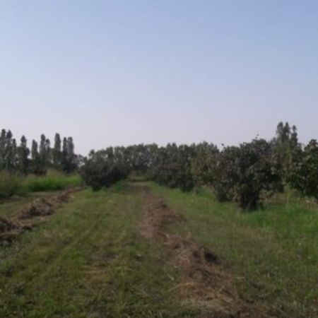 1.21 Sot Torpaq Sahəsi, Qusar ş. – Azərbaycan – ucuztap.az