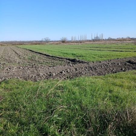 2.10 Sot Torpaq Sahəsi, Xudat r. – Azərbaycan – ucuztap.az