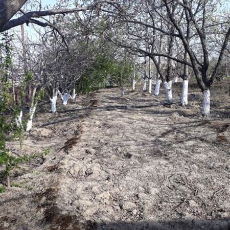 10 Sot Torpaq Sahəsi, Xırdalan ş. – Azərbaycan – ucuztap.az
