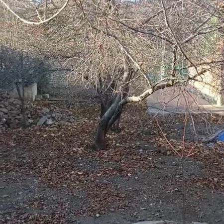 3 Sot Torpaq Sahəsi, Gəncə ş. – Satılır – ucuztap.az