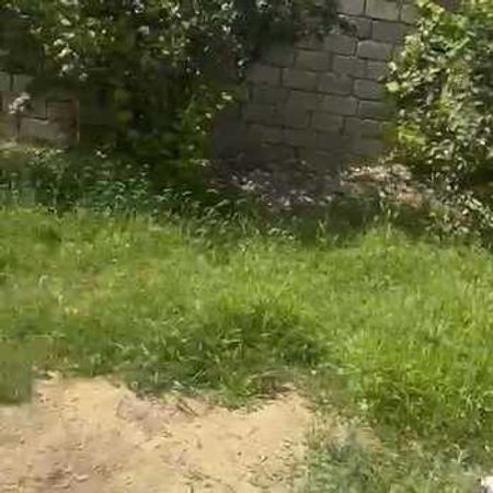 5.3 Sot Torpaq Sahəsi, Bakıxanov qəs. – Satılır – ucuztap.az