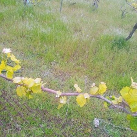 10 Sot Torpaq Sahəsi, Maştağa qəs. – Azərbaycan – ucuztap.az