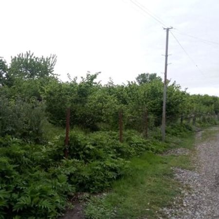 19 Sot Torpaq Sahəsi, Xaçmaz r. – Azərbaycan – ucuztap.az