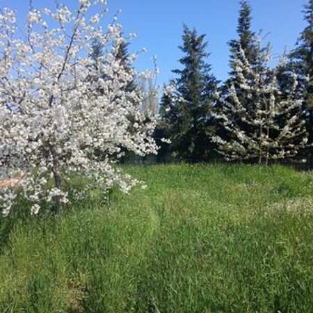 8 Sot Torpaq Sahəsi, Qusar r. – Azərbaycan – ucuztap.az