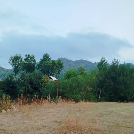 26 Sot Torpaq Sahəsi, Lerik r. – Azərbaycan – ucuztap.az