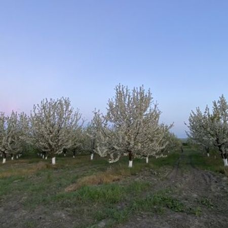 1052 Sot Torpaq Sahəsi, Quba r. – Azərbaycan – ucuztap.az