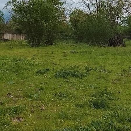 20 Sot Torpaq Sahəsi, Qəbələ r. – Azərbaycan – ucuztap.az