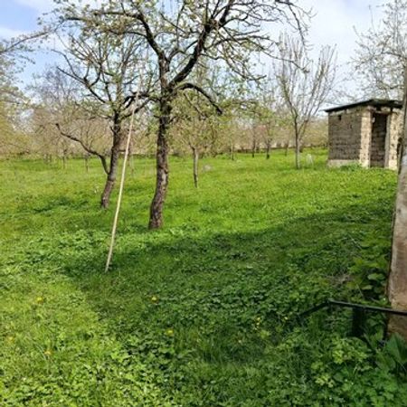 15 Sot Torpaq Sahəsi, Quba r. – Azərbaycan – ucuztap.az