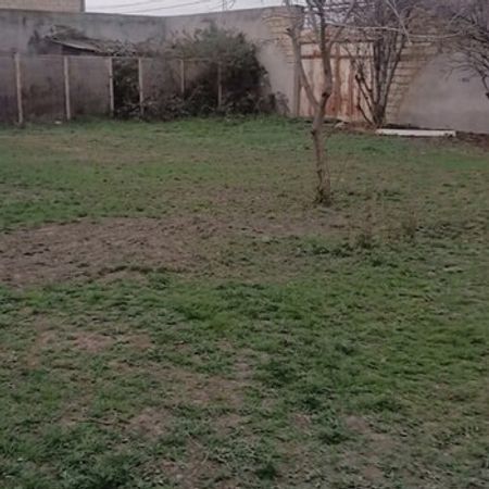 6.5 Sot Torpaq Sahəsi, Şəmkir r. – Azərbaycan – ucuztap.az