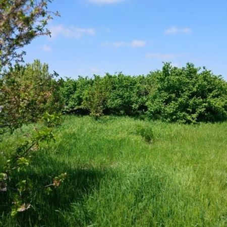 70 Sot Torpaq Sahəsi, Qaraçı k. – Azərbaycan – ucuztap.az