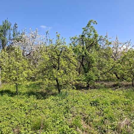 13 Sot Torpaq Sahəsi, Quba r. – Azərbaycan – ucuztap.az