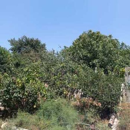 17 Sot Torpaq Sahəsi, Masazır qəs. – Azərbaycan – ucuztap.az