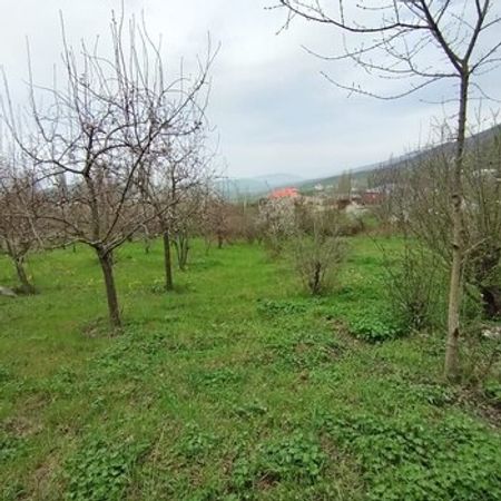 1 Sot Torpaq Sahəsi, Siyəzən r. – Azərbaycan – ucuztap.az