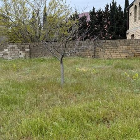 2 Sot Torpaq Sahəsi, Görədil qəs. – Azərbaycan – ucuztap.az