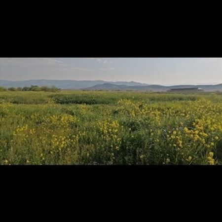 820 Sot Torpaq Sahəsi, Şəmkir r. – Azərbaycan – ucuztap.az