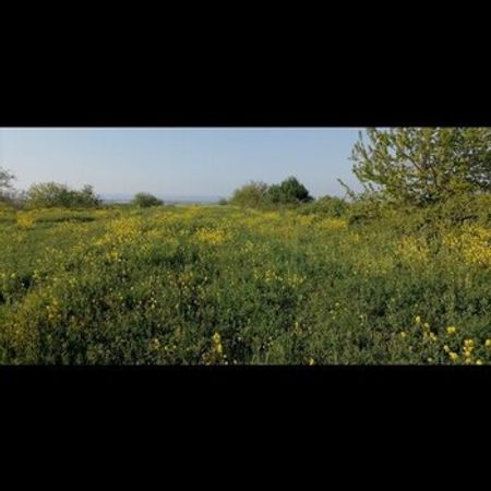 820 Sot Torpaq Sahəsi, Şəmkir r. – Azərbaycan – ucuztap.az
