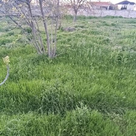 32 Sot Torpaq Sahəsi, Qala qəs. – Azərbaycan – ucuztap.az