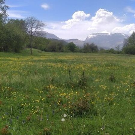 20 Sot Torpaq Sahəsi, Qusar r. – Azərbaycan – ucuztap.az