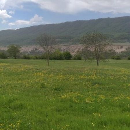 20 Sot Torpaq Sahəsi, Qusar r. – Azərbaycan – ucuztap.az