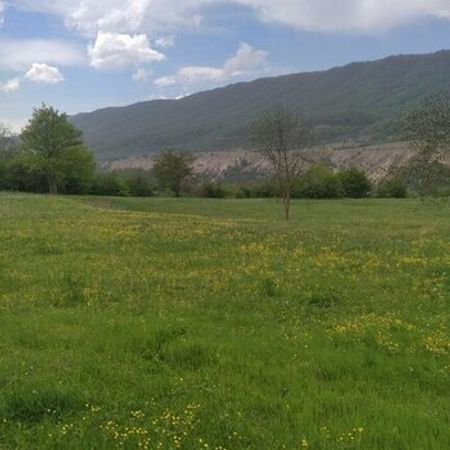 20 Sot Torpaq Sahəsi, Qusar r. – Azərbaycan – ucuztap.az