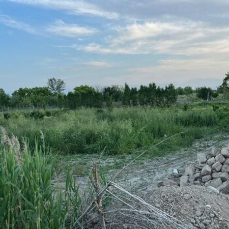 80 Sot Torpaq Sahəsi, Xaçmaz r. – Azərbaycan – ucuztap.az