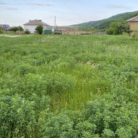 12 Sot Torpaq Sahəsi, Qusar r. – Azərbaycan – ucuztap.az