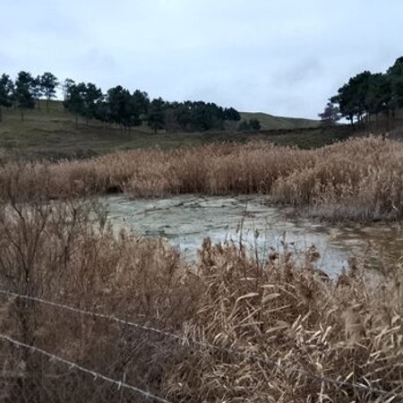 30 Sot Torpaq Sahəsi, Şabran r. – Azərbaycan – ucuztap.az