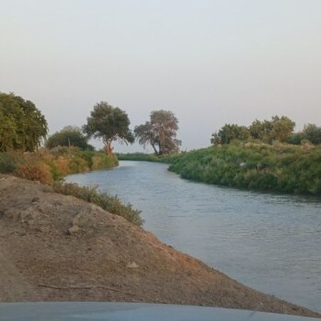 8000 Sot Torpaq Sahəsi, Sabirabad r. – Azərbaycan – ucuztap.az