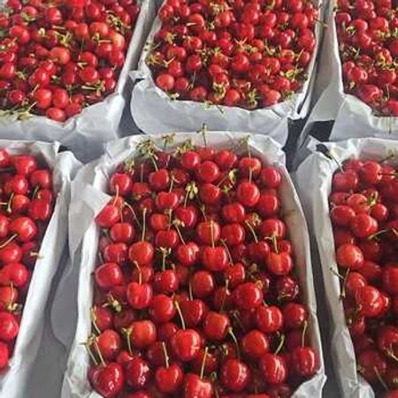 400 Sot Torpaq Sahəsi, Ağdaş r. – Azərbaycan – ucuztap.az