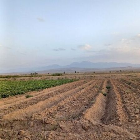 1248 Sot Torpaq Sahəsi, Yevlax ş. – Azərbaycan – ucuztap.az