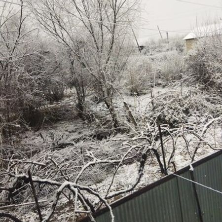 25 Sot Torpaq Sahəsi, Göyçay r. – Azərbaycan – ucuztap.az