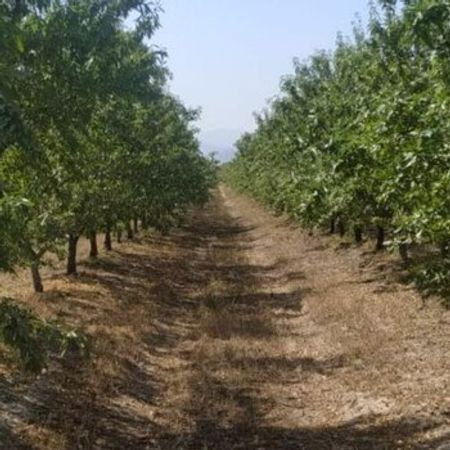 300 Sot Torpaq Sahəsi, Quba r. – Azərbaycan – ucuztap.az