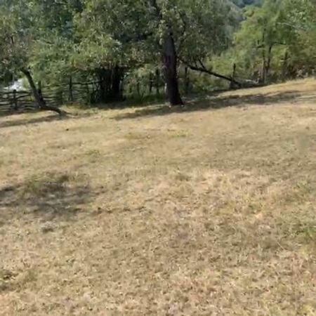3 Sot Torpaq Sahəsi, Quba r. – Azərbaycan – ucuztap.az