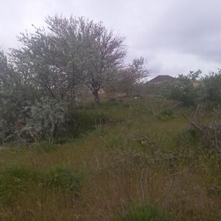 25 Sot Torpaq Sahəsi, Nardaran qəs. – Azərbaycan – ucuztap.az