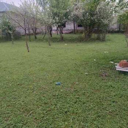 6 Sot Torpaq Sahəsi, Zaqatala r. – Azərbaycan – ucuztap.az