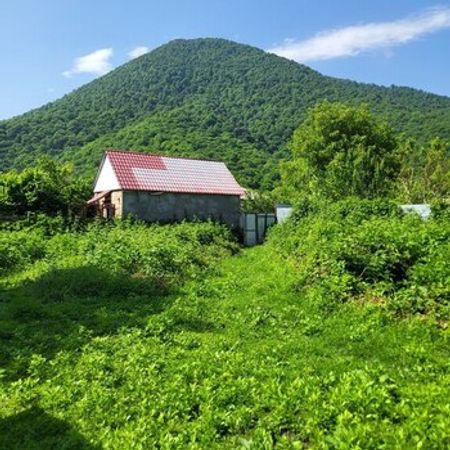 4 Sot Torpaq Sahəsi, Qəbələ r. – Azərbaycan – ucuztap.az