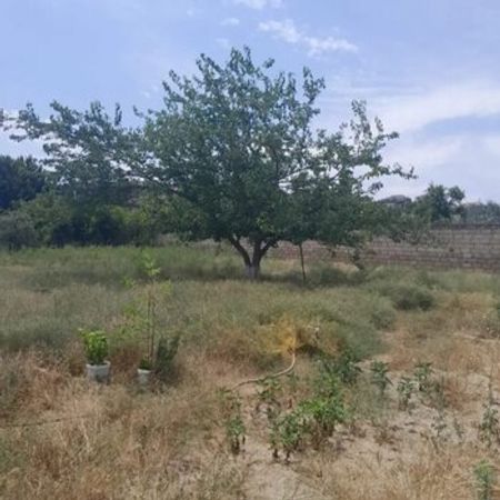 14 Sot Torpaq Sahəsi, Novxanı qəs. – Satılır – ucuztap.az