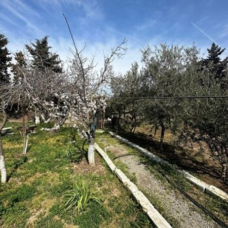 12 Sot Torpaq Sahəsi, Görədil qəs. – Azərbaycan – ucuztap.az