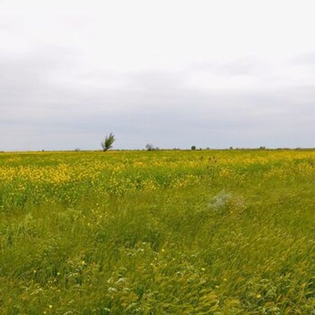 14000 Sot Torpaq Sahəsi, İmişli r. – Azərbaycan – ucuztap.az