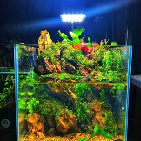 Akvarium Sifarişi – Akvarium – ucuztap.az