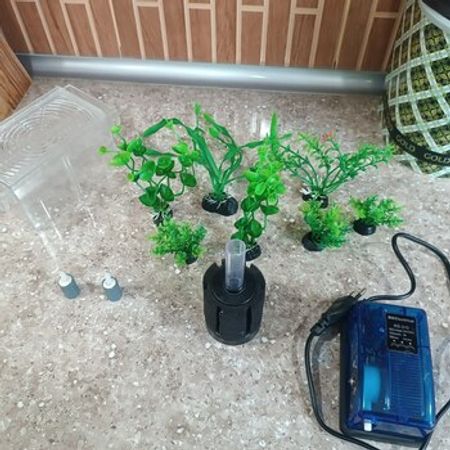 Akvarium Aksesuarları – Akvarium – ucuztap.az