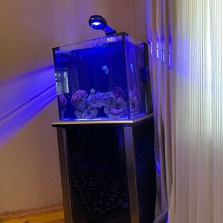 Okean Akvariumu – Akvarium – ucuztap.az
